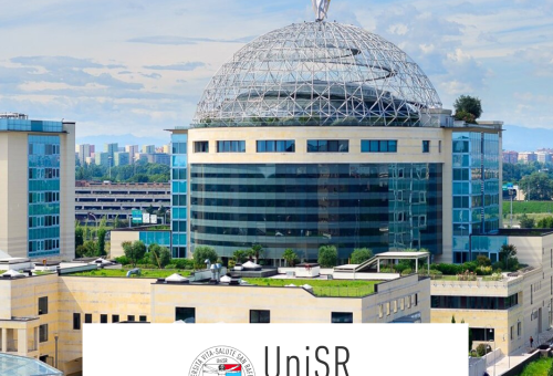 San Raffaele Üniversitesi