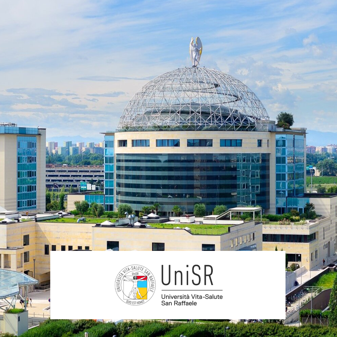 San Raffaele Üniversitesi